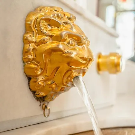 Chateau Des Orchidees En Val De Loire ソミュール