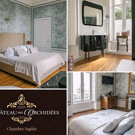 ベッド・アンド・ブレックファスト Chateau Des Orchidees En Val De Loire 4*