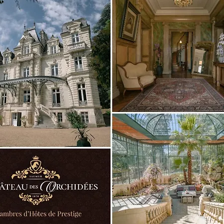 Chateau Des Orchidees En Val De Loire ベッド・アンド・ブレックファスト ソミュール