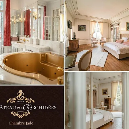 Bed & Breakfast Chateau Des Orchidees In A French Castle Saumur