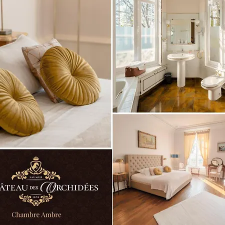 Chateau Des Orchidees En Val De Loire *