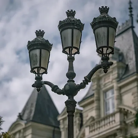 Chateau Des Orchidees In A French Castle