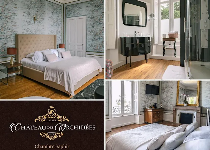Bed & Breakfast Chateau Des Orchidees En Val De Loire 4*