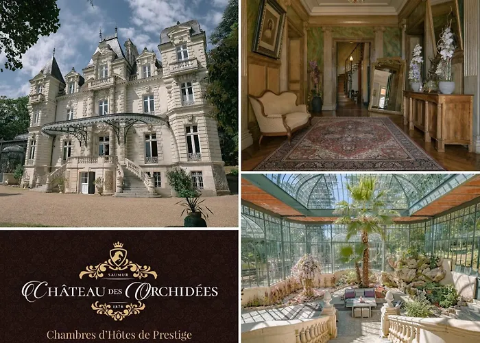 Chateau Des Orchidees En Val De Loire Bed and Breakfast Saumur
