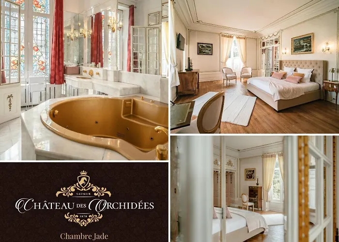 Bed & Breakfast Chateau Des Orchidees En Val De Loire Saumur