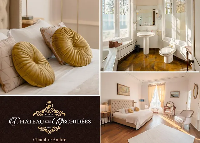 Chateau Des Orchidees En Val De Loire 4*