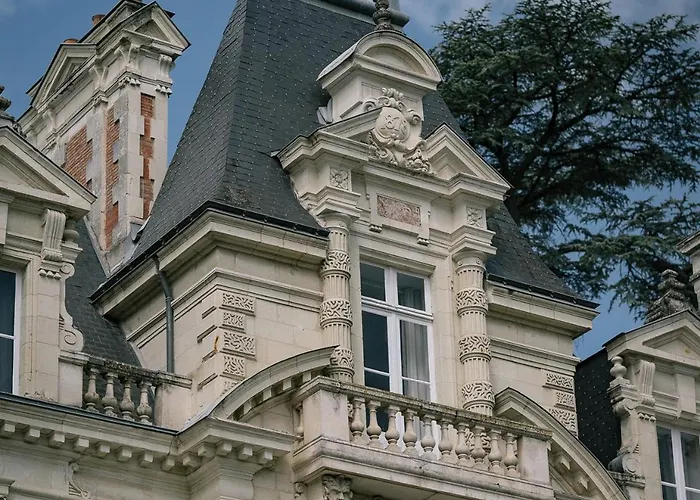 Chateau Des Orchidees En Val De Loire Bed & Breakfast 4*